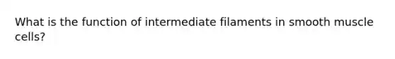 What is the function of intermediate filaments in smooth muscle cells?