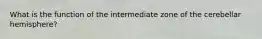 What is the function of the intermediate zone of the cerebellar hemisphere?