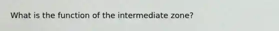 What is the function of the intermediate zone?