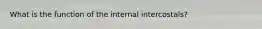 What is the function of the internal intercostals?