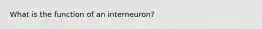 What is the function of an interneuron?