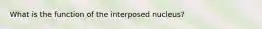 What is the function of the interposed nucleus?