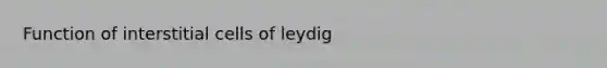 Function of interstitial cells of leydig