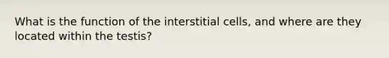 What is the function of the interstitial cells, and where are they located within the testis?