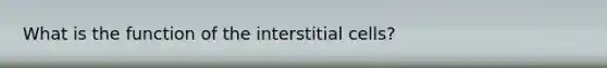 What is the function of the interstitial cells?