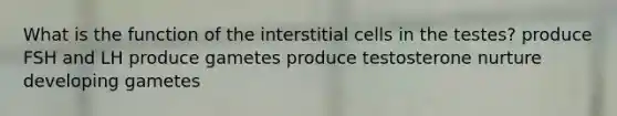 What is the function of the interstitial cells in the testes? produce FSH and LH produce gametes produce testosterone nurture developing gametes