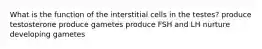 What is the function of the interstitial cells in the testes? produce testosterone produce gametes produce FSH and LH nurture developing gametes