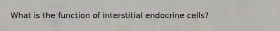 What is the function of interstitial endocrine cells?