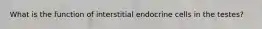 What is the function of interstitial endocrine cells in the testes?