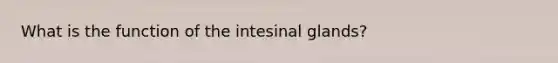 What is the function of the intesinal glands?