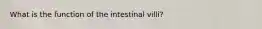 What is the function of the intestinal villi?