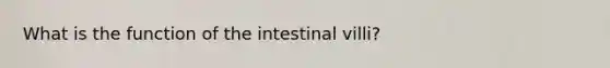 What is the function of the intestinal villi?