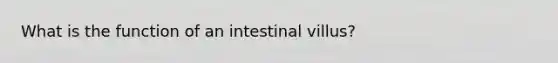 What is the function of an intestinal villus?