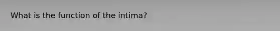 What is the function of the intima?