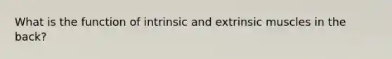 What is the function of intrinsic and extrinsic muscles in the back?