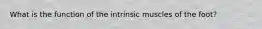 What is the function of the intrinsic muscles of the foot?