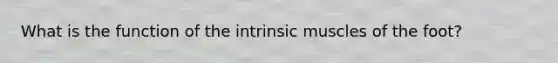 What is the function of the intrinsic muscles of the foot?