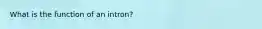 What is the function of an intron?