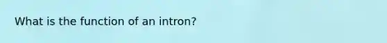 What is the function of an intron?