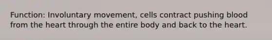 Function: Involuntary movement, cells contract pushing blood from the heart through the entire body and back to the heart.