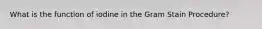 What is the function of iodine in the Gram Stain Procedure?