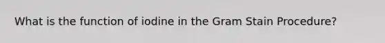 What is the function of iodine in the Gram Stain Procedure?