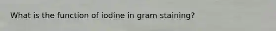 What is the function of iodine in gram staining?