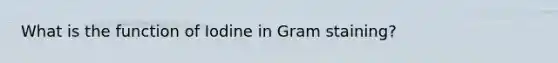 What is the function of Iodine in Gram staining?