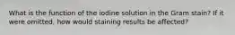 What is the function of the iodine solution in the Gram stain? If it were omitted, how would staining results be affected?