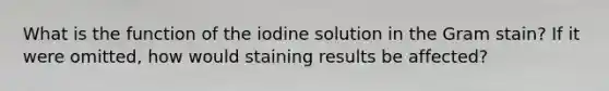 What is the function of the iodine solution in the Gram stain? If it were omitted, how would staining results be affected?