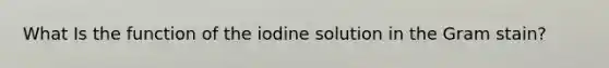 What Is the function of the iodine solution in the Gram stain?