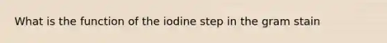 What is the function of the iodine step in the gram stain