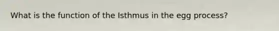 What is the function of the Isthmus in the egg process?