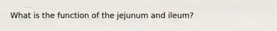 What is the function of the jejunum and ileum?