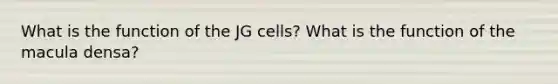 What is the function of the JG cells? What is the function of the macula densa?