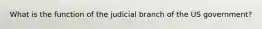 What is the function of the judicial branch of the US government?