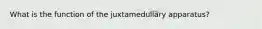 What is the function of the juxtamedullary apparatus?