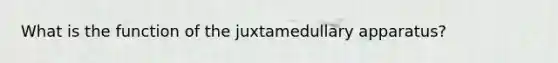 What is the function of the juxtamedullary apparatus?