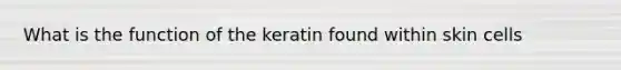 What is the function of the keratin found within skin cells