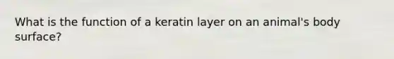 What is the function of a keratin layer on an animal's body surface?