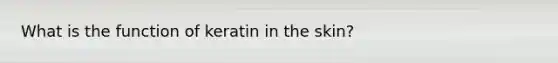 What is the function of keratin in the skin?