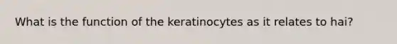 What is the function of the keratinocytes as it relates to hai?