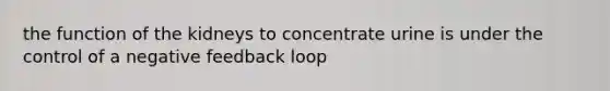 the function of the kidneys to concentrate urine is under the control of a negative feedback loop