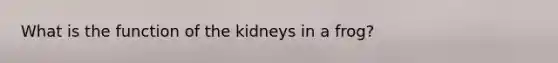 What is the function of the kidneys in a frog?