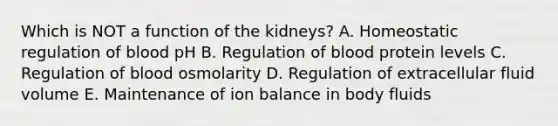 Which is NOT a function of the kidneys? A. Homeostatic regulation of blood pH B. Regulation of blood protein levels C. Regulation of blood osmolarity D. Regulation of extracellular fluid volume E. Maintenance of ion balance in body fluids