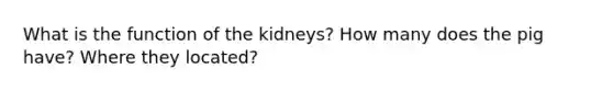 What is the function of the kidneys? How many does the pig have? Where they located?