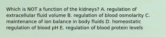 Which is NOT a function of the kidneys? A. regulation of extracellular fluid volume B. regulation of blood osmolarity C. maintenance of ion balance in body fluids D. homeostatic regulation of blood pH E. regulation of blood protein levels