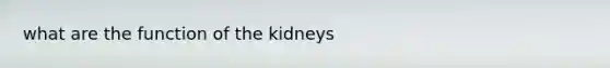 what are the function of the kidneys