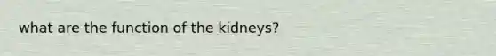 what are the function of the kidneys?