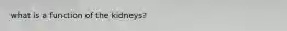 what is a function of the kidneys?